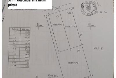 Spațiu comercial, în Bucium