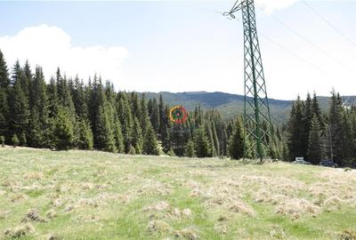 Terenuri speciale Padina Busteni - 7