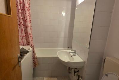 Titan, 10 minute metrou, chiar la intrarea in parcul IOR, pe Lotrioara, - 8