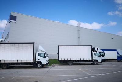 Logicor Mogosoaia - Hale / Spatii Depozitare / Logistice,... - 9