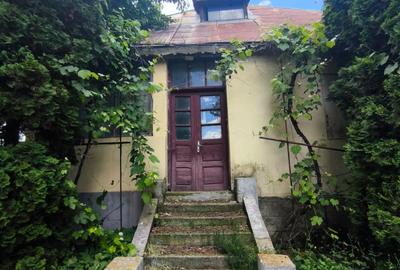 Casă individuală cu 2 camere cu Teren 7592 Mp în Dochia - 3