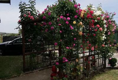 Casă cu 6 camere cu Teren 937 Mp în Mogoșești - 10