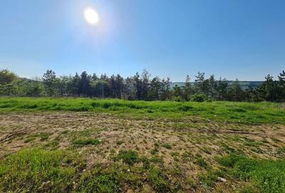 Teren intravilan de vanzare , zona Sf Ion, Padurea Faget - 1