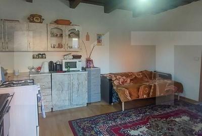 Casă cu 2 camere în Joseni - 4