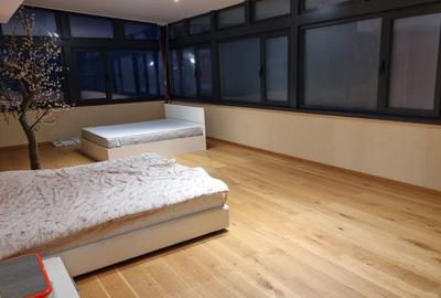 Penthouse cu 5 camere decomandat, mobilat în Central - 23