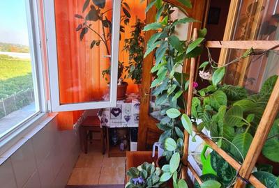 Apartament cu 3 camere decomandat în Hârșova - 2