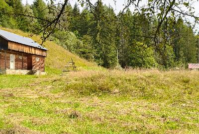 Teren de 4080 mp, în Valea Doftanei - 7