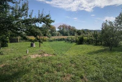 Casă cu Teren 1138 Mp în Moardăș - 2