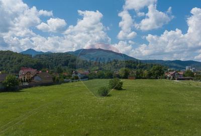 Lot de casa intrare Sacele -Strada Iernii, 640mp - 8