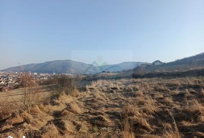 Teren de 3000 mp, în Curtești - 7