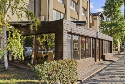 ULTRACENTRAL - SPATIU COMERCIAL - OTOPENI - DE INCHIRIAT - DN1
