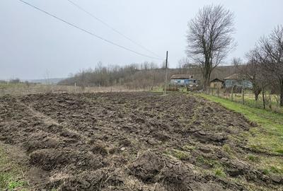 Teren Construcții intravilan de 2038 mp, în Ghercești - 4