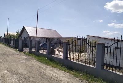 Casă cu 2 camere cu Teren 438 Mp în Buturugeni - 4