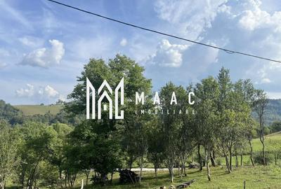 Teren Construcții intravilan de 14242 mp, în Sohodol - 3