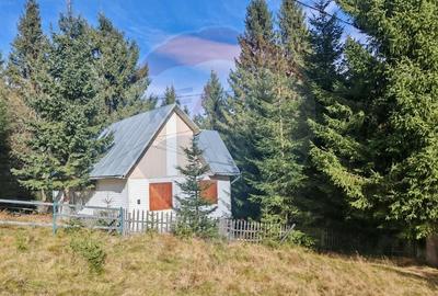 Casă individuală cu 3 camere cu Teren 860 Mp în Muntele Băișorii - 5