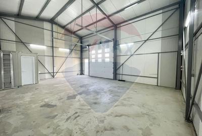 Hala constructie noua + spatiu de birouri stradal - 3