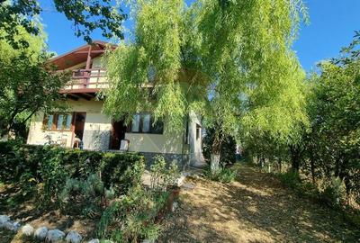 Casa de vacanta / Vila de vanzare Lilieci, Ialomita - 9