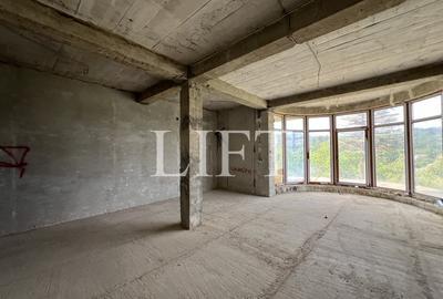 Casă individuală cu 8 camere cu Teren 2308 Mp în Sohodol - 13