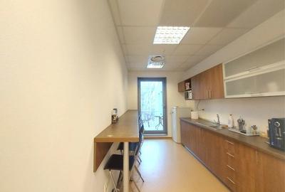 Spatii birouri de inchiriat  Stirbei Voda- Cismigiu - 3