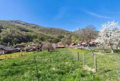 Casă cu 3 camere în Poiana Galdei - 3