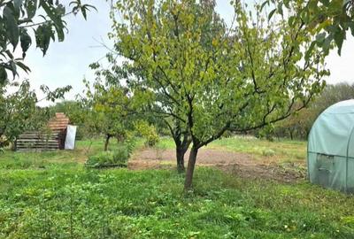 Teren 6762 mp +casa Les - 1