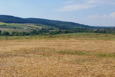 Spațiu comercial, în Rudicica - 5