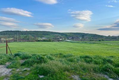 Teren de 10900 mp, în Bălțați - 7