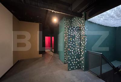 Spațiu comercial, de 177 mp, în Ultracentral - 10