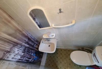 Apartament cu doua camere in zona Piata Maria de inchiriat - 3