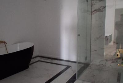 Penthouse cu 9 camere decomandat în Splaiul Unirii - 5