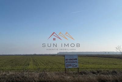 Teren Construcții intravilan de 4927 mp, în Dărmănești - 1