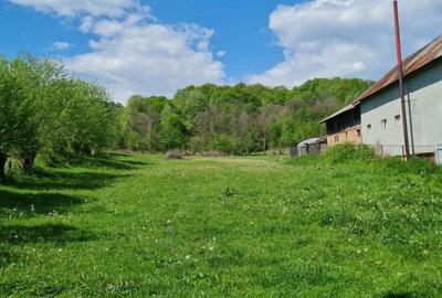 Spațiu comercial, în Ștubeie Tisa - 6