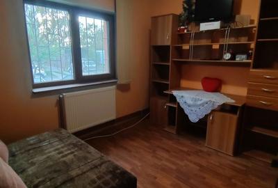 Apartament cu 2 camere semidecomandat în Central - 6
