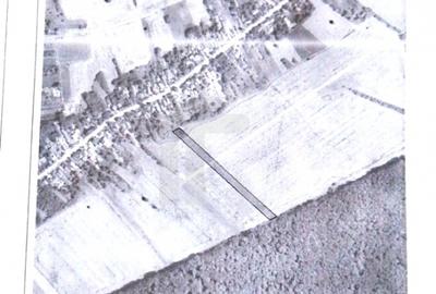 Com GRUIU_Reprezentare exclusiva_TEREN  EXTRAVILAN LANGA PADURE - 3