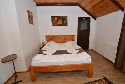 Casă cu 4 camere în Râu Sadului - 5