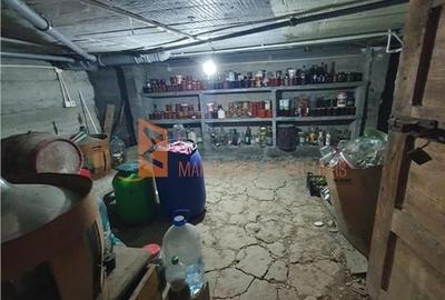 EXCLUSIVITATE! Casa cu teren zona Parscov - 17