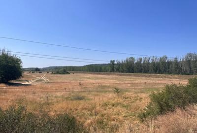Teren agricol cu potential - 24.834 mp, zona Podul Jiului - 15