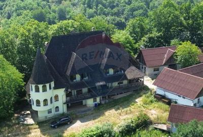 Casă cu 10 camere cu Teren 24700 Mp în Berchez - 10