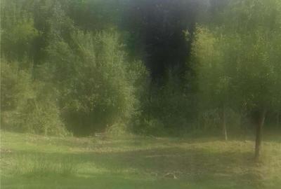 Teren în Central - 2