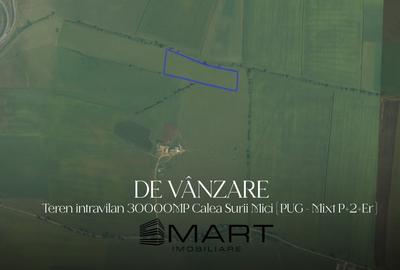 Teren 30.000mp zona Calea Surii Mici - 1