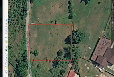 Teren de 1700 mp, în Exterior Vest