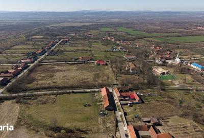 Casă cu 8 camere cu Teren 7235 Mp în Traian Vuia - 9