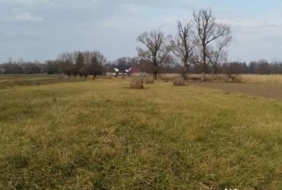 Casă cu 4 camere cu Teren 5400 Mp în Frătăuții Vechi - 7