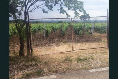 Teren de 1800 mp, în Valea Călugărească - 4