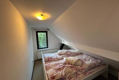 Pensiune de vanzare in statiunea Paltinis,Sibiu- Afacere la cheie - 20