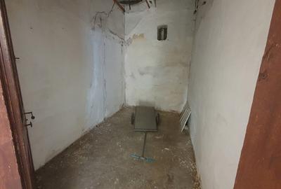 Casă cu 4 camere cu Teren 1256 Mp în Aradul Nou - 11