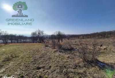 Spațiu comercial, în Bârnova - 5