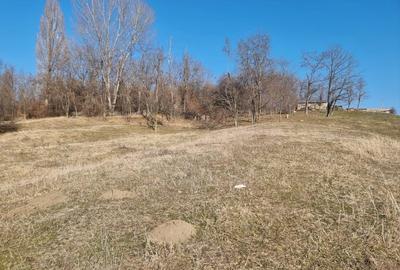 7300 mp Campina, Muscel, 3000 mp + 4300 mp, intravilan, zona mixta de dezvoltare - 8