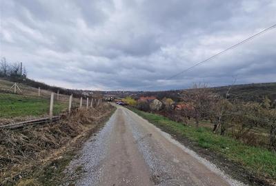 RECO teren intravilan Saldabagiu de Munte - 2