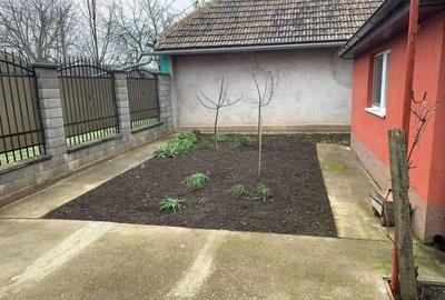 Casa de vanzare in Hodoni jud Timis Casa de vanzare in Hodoni jud Timis - 8